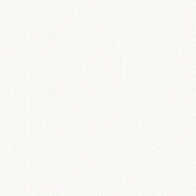 Белые обои в прихожую Alessandro Allori Bruni 1002-30 RBN