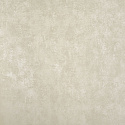 N55675