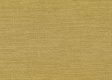 AltaGamma Fibers 1VZ 25863