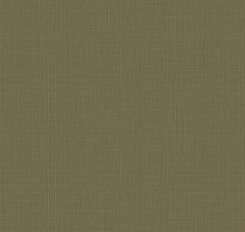 Loymina Gallery Classic GC5 005/1