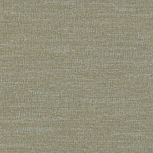 Adawall Beta 1113-6