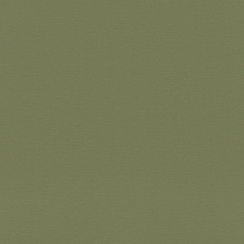 Rasch Tropical House 687538