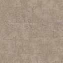 Trend8 006